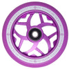 Morado