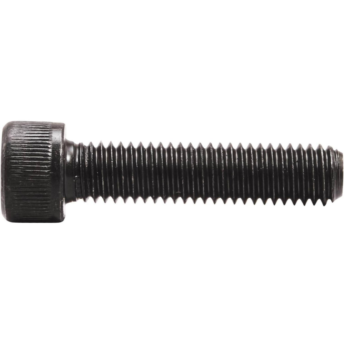 Striker Tornillo M8- Scootworld.es
