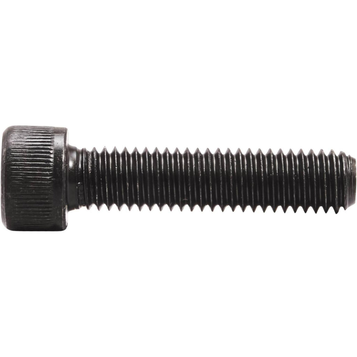 Striker Tornillo M8- Scootworld.es