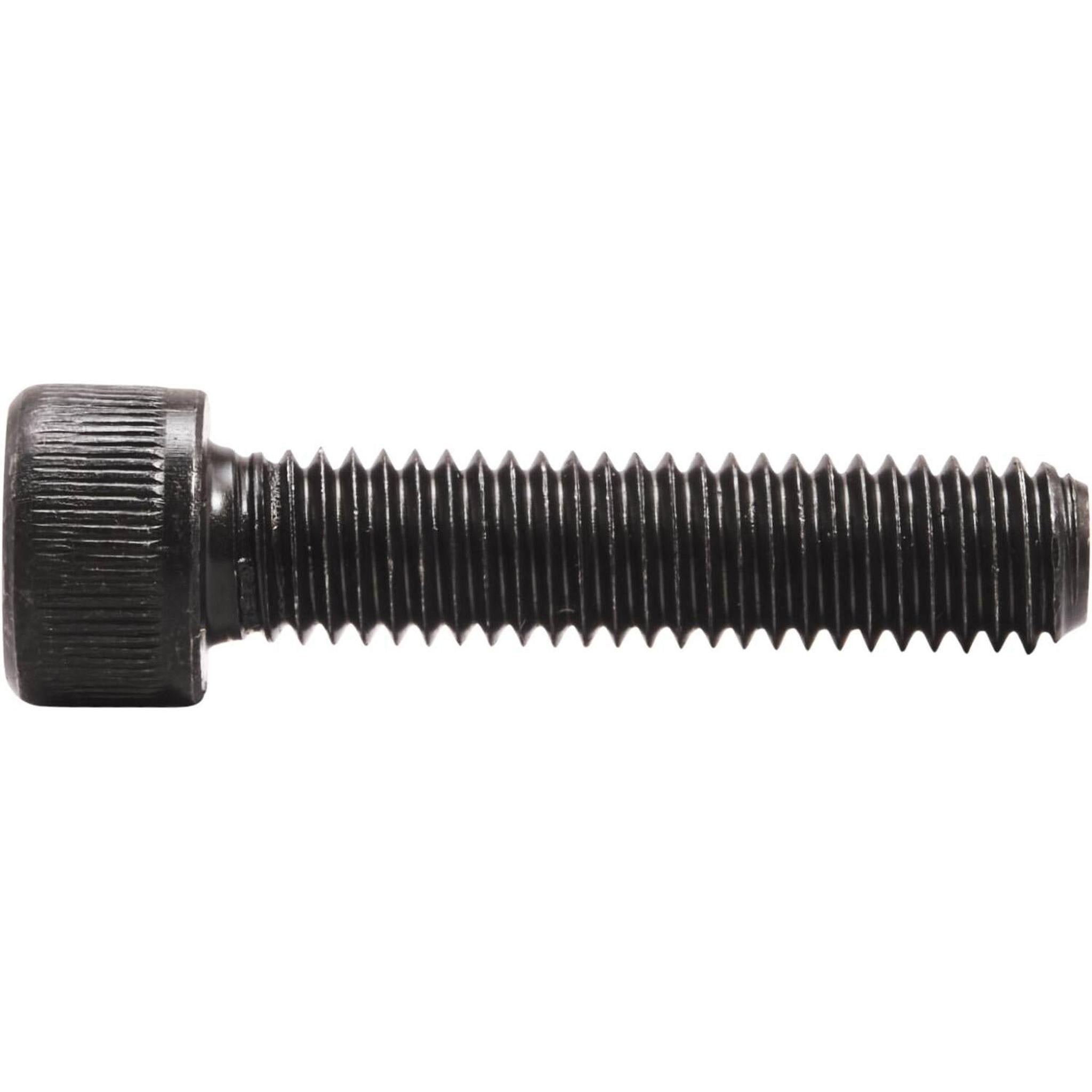 Striker Tornillo M8- Scootworld.es
